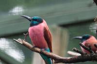 IMG_9364.jpg