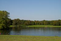 _MG_0874.jpg