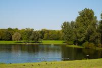 _MG_0875.jpg