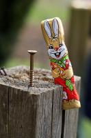 osterhasenfolter.jpg