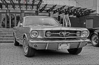 Ford_Mustang_76.jpg