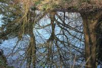 Spiegelbilder_28129.jpg