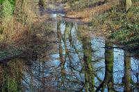 Spiegelbilder_28229.jpg