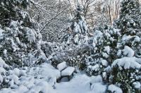 Winterstimmung_28229.jpg