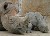 Zoo_Krefeld_bearbeitet-1.jpg