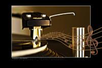 Pass_IMG_6837-45__2.jpg