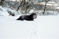 winter-DSC0607.jpg