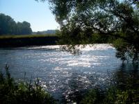 DSCN3925a.jpg
