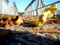 DSCN5512a.jpg