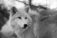 IMG_2616~0.jpg
