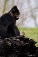 IMG_4859_bearbeitet-1.jpg