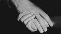 hands_mit_korn_passig_gemacht.jpg