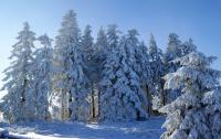 winterberg_winterbild_1_passig_gemacht.jpg