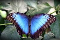 IMG_4220y__Large___Medium_.JPG