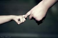 IMG_7449d__Large_.JPG