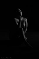IMG_7943y__Large_.JPG