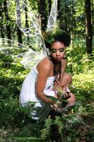 IMG_9963aSF__Large_.JPG