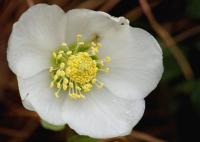 DSC_0118.JPG