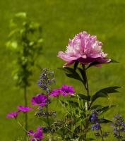 DSCF6513_5_1.jpg