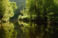 29Mai2011_Bannmuehle_Odernheim_0044.jpg