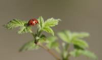 _IGP3089_bearbeitet.jpg