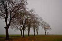 Dateiname=Herbst_2011-1.jpg
Dateigröße=490KB
Abmessungen: 1280x850
hinzugefügt am: 04. Oktober 2012 Herbst_2011-1.jpg