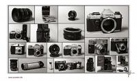 20110204_0009_fff.jpg