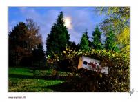 DSC_1262_filtered_fff.jpg