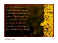 DSC_4724_124mit_text_1_fff_end_mit_rahmen.jpg