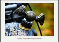 dsc_2625_kustom.jpg