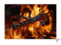 fire1_fff.jpg