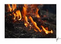 fire2_fff.jpg