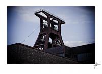 flat38bikesnetherland-1-23_1_fff_end_mit_rahmen.jpg
