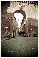flat38roma2012_0002.jpg