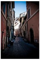 flat38roma2012_0009.jpg