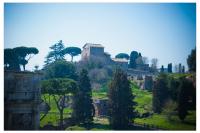 flat38roma2012_0021.jpg