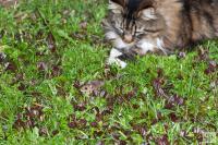 goodfriendsflat38-1.jpg