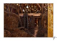 lost_bauernhof-1-2_1_fff_end_mit_rahmen.jpg