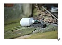 lostplacesbauernhof-1-15_1_fff_end_mit_rahmen.jpg