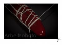 motorcycle_the_snot_blog_flat38-1-2_1_fff_end_mit_rahmen.jpg