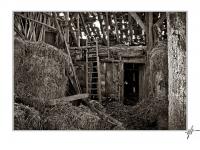 swumsetzung-lost_bauernhof-14_1_fff_end_mit_rahmen.jpg