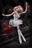 IMG_2813-a-web.jpg