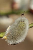 IMG_0147_1.jpg