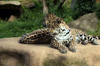 IMG_0488_3.jpg