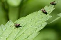 IMG_0776_1.jpg