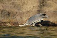 IMG_1302_1.jpg