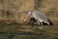 IMG_1303_1.jpg