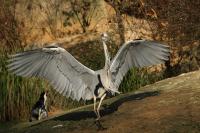 IMG_1318_1.jpg
