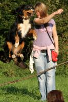 IMG_2603_1.jpg