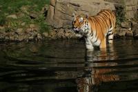 IMG_4576_1.jpg
